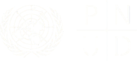 logo pnud